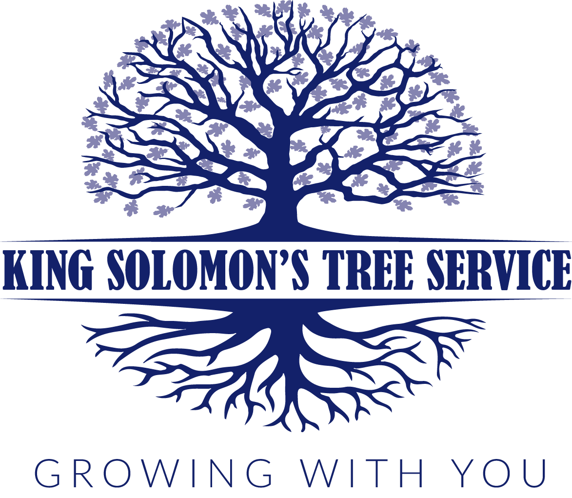 King Solomon's Tree Service Logo